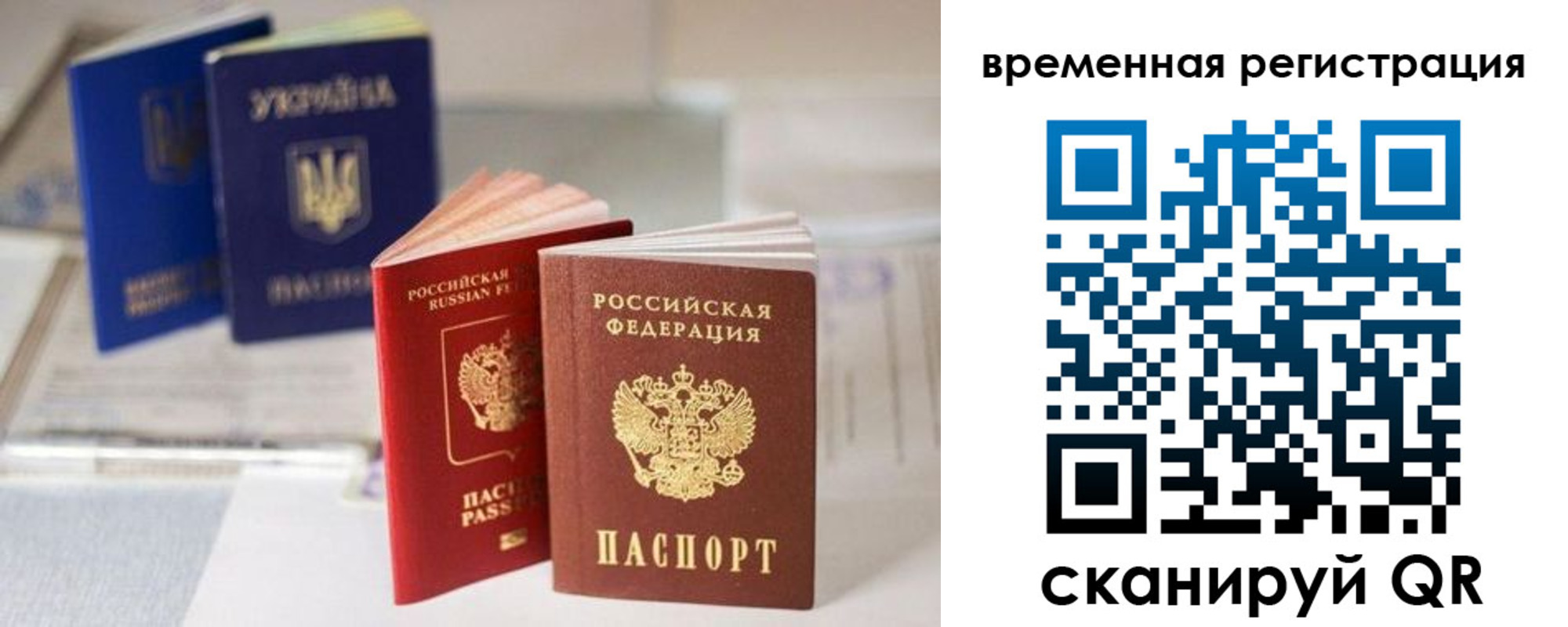 прописка поиск в Мензелинске